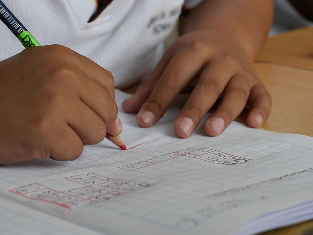 Ondersteuning op maat voor betere studieresultaten